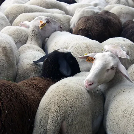 Du Doulon Lamothe-Montravel